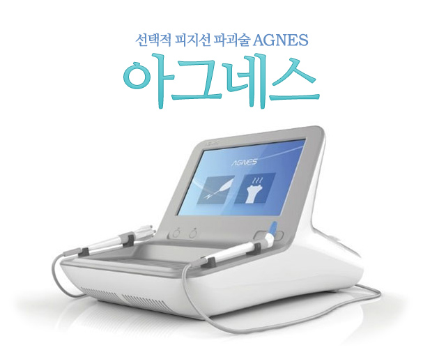 선택적 피지선 파괴술 아그네스